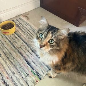 Meet your Posher, Charlie